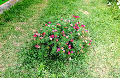 CHALET IL GELSOMINO DELL'ETNA - Foto 45