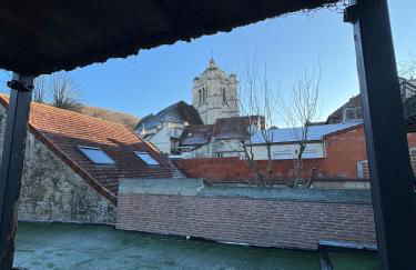 La Maxipontaine - Foto 37