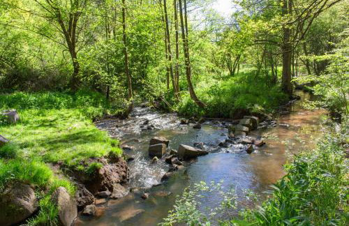 Wonderful Renovated Apartment With Great Location - Foto 44