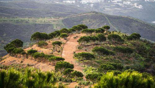 Salthouse Portugal - Exclusive Studio - Foto 3, Garden