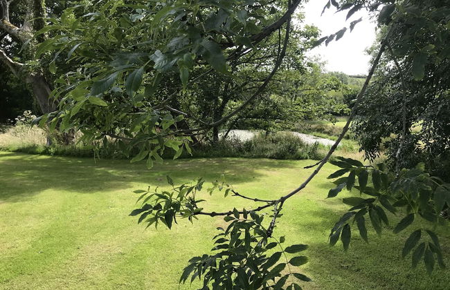 Foxglove - Luxurious Barn Conversion - Foto 43