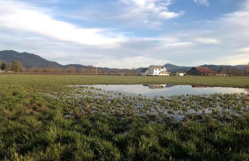 Luxury Chic Farm Cottage in Wine Country, California - Foto 12