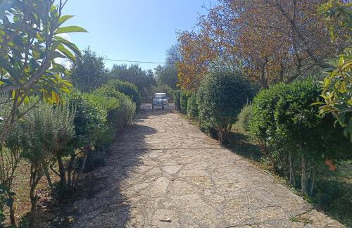 Holiday Home Višnja with Pool - Photo 45