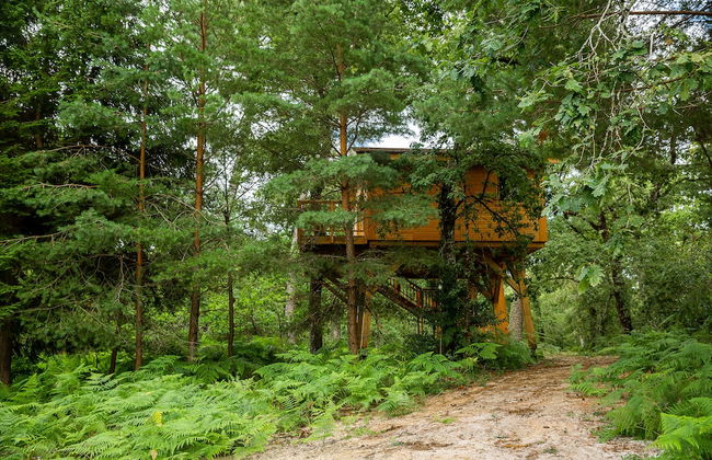 Château Léognan, Domaine viticole - proche Bordeaux - Foto 9