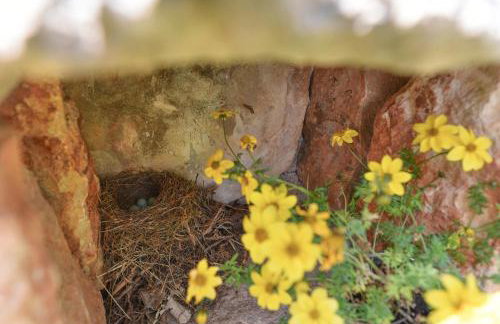 Rural House Kod Slapa - Foto 59