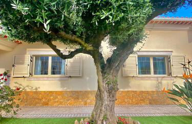 Casa das Laranjeiras - Foto 50