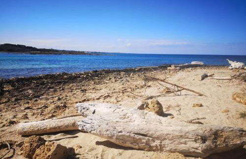 Trullo Alessandro e Villa Raffaela - Foto 52