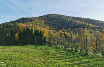 JAWORNICA HOUSE domek z pięknym widokiem - Foto 39