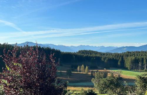 Alpenpanorama Renoviertes Apartment mit Bergblick - Photo 11