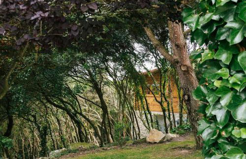 Country Village Senses - Foto 34