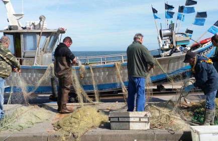 La Plage en Normandie - Foto 25