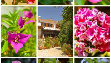 AFISSOS-DREAM 3STUDIOS - Photo 4