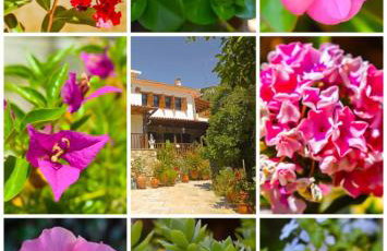 AFISSOS-DREAM 3STUDIOS - Photo 4