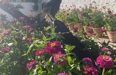 CORTIJO EL PRADO ll - Foto 33