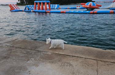 Plavo bijeli svijet - Photo 20