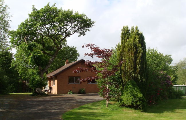 Broncoedwig Devil's Bridge - Foto 1