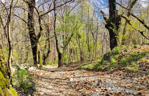 Villa Rustica - Foto 54