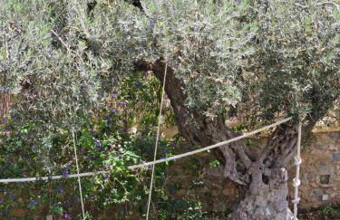 Orestis' Family House - Foto 7