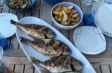 Apartmani Kamil - Photo 15