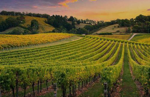 Casa Mimma - Foto 19