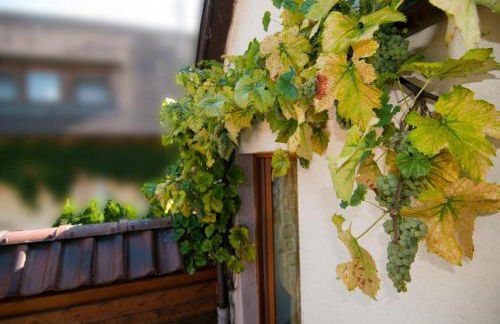 Weingut Landmann Ferienwohnungen - Foto 4