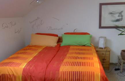 Blumenhaus - Foto 25