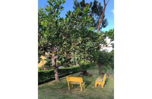 flat em serra negra - bezerros - Foto 67