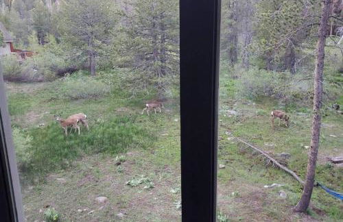 Modern Gambrel Cabin Near Ski Resorts - Photo 17