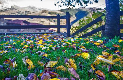 Armaño Rural G-10069 - Photo 12