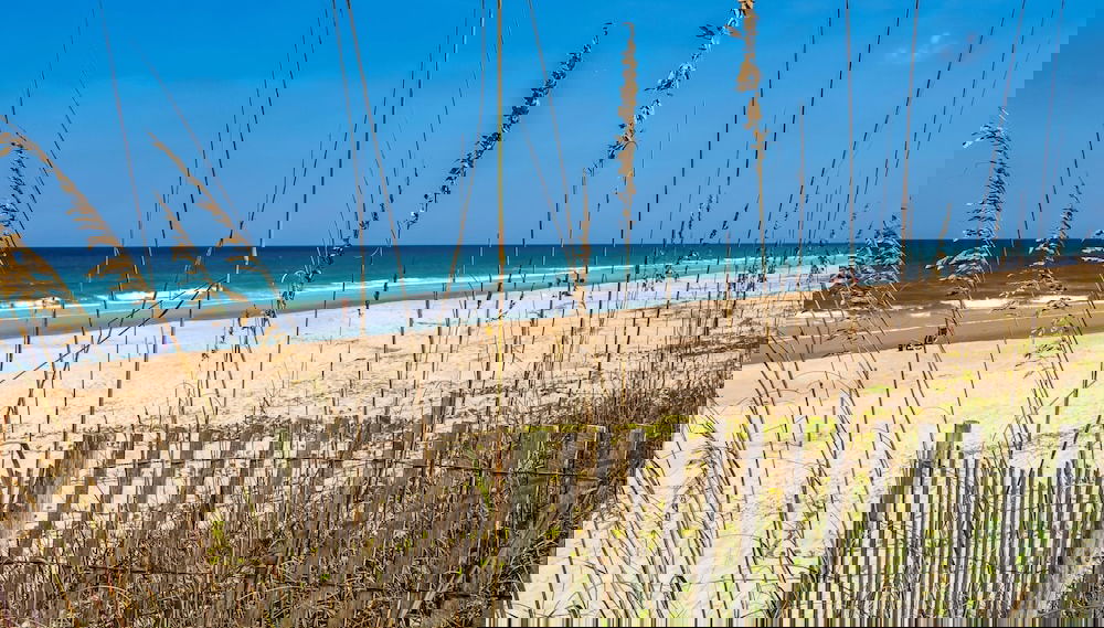 Complete Searenity by Distinctive Beach Rentals - Foto 1, Servicios del alojamiento