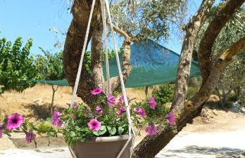 Lily Home_Lefkada ~ Private Country house - Foto 6
