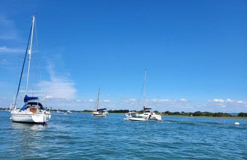 Open Plan Dog Friendly Annexe Sleeping 2 I Near Local Beaches & Chichester with FREE Parking - Foto 46