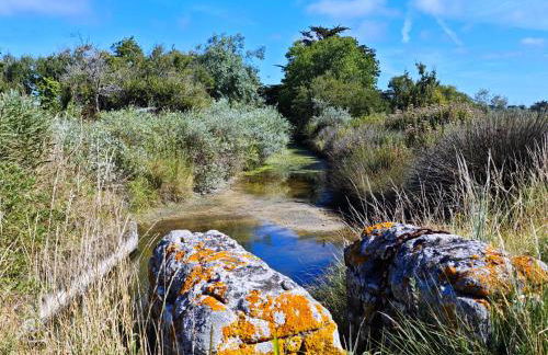 Charmante longère bigoudène - Photo 44