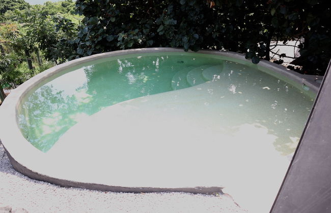 Bosque Geométrico - Foto 44