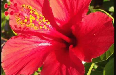 Paschali apartment with 1 bedroom in Ammoudia - Foto 9