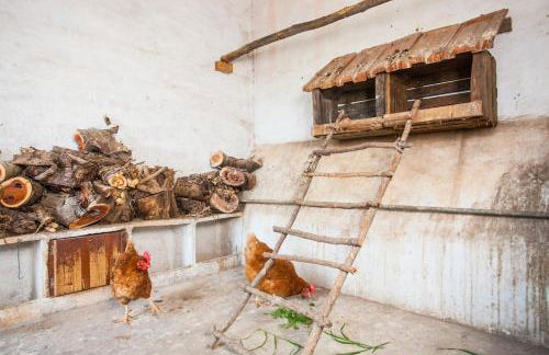 Preciosa Casa Ca Madò Maria con vistas a Bunyola - Foto 35