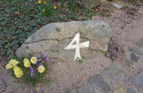 Krötenhof Barförde - Foto 4