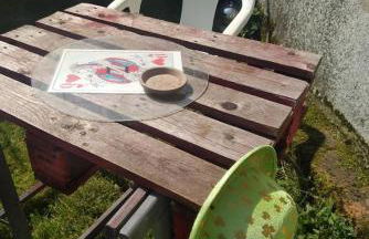 Maison à l'ancienne avec grand terrain , animaux bienvenus - Foto 51