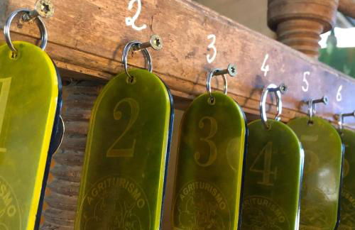 Agriturismo il Podere Vedelago con San Bernardo, Alpaca e una Pentola di cose da scoprire - Foto 13