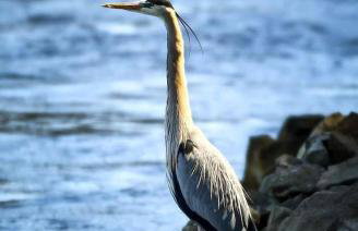 Gorgeous Tiny House with Indoor and Outdoor Lounging Space in Alabama - Foto 17