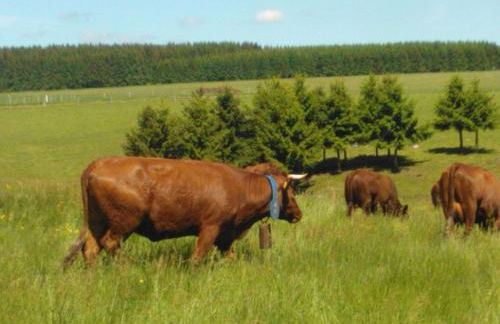 Ferienwohnung Relax - Foto 34