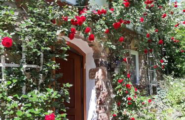 Ferienhaus Burgblick - Photo 14