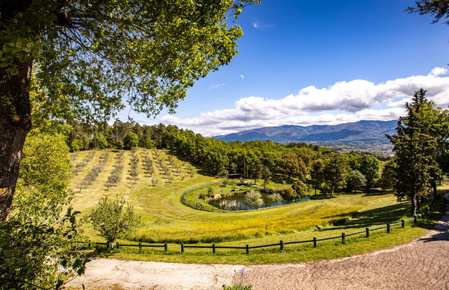 La Torre + Fienile + Casa Prato - Foto 58