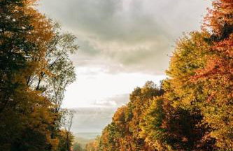 Family Friendly Downtown Apple Creek by Antiques - Foto 29