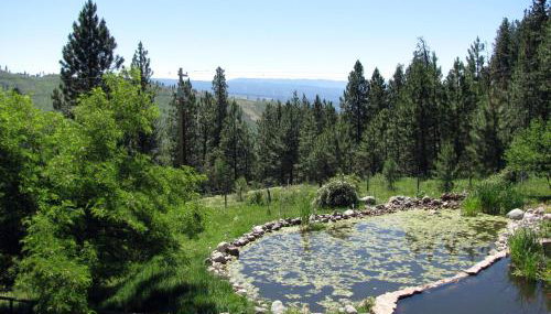 Whitebird Summit Lodge - Foto 5