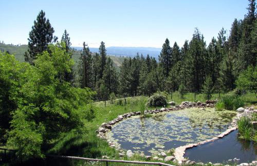 Whitebird Summit Lodge - Foto 5