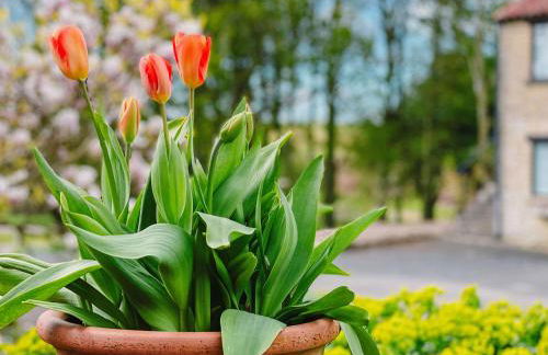 Corn Stook - 16867 - Foto 21