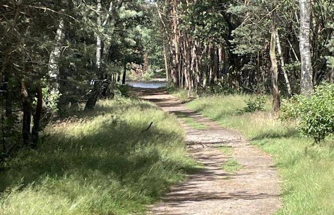 Lovely Holiday Home in Voorhuizen With Garden - Photo 37