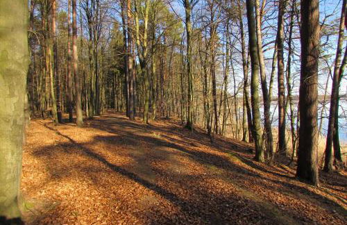 FeWo mit Balkon, Zimmermann - Foto 27