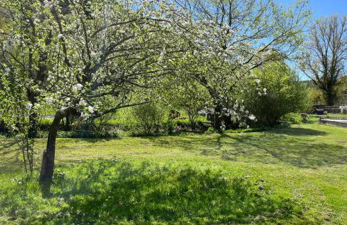 Les Pieds dans l'eau, Gîte Le Blagour - Foto 8